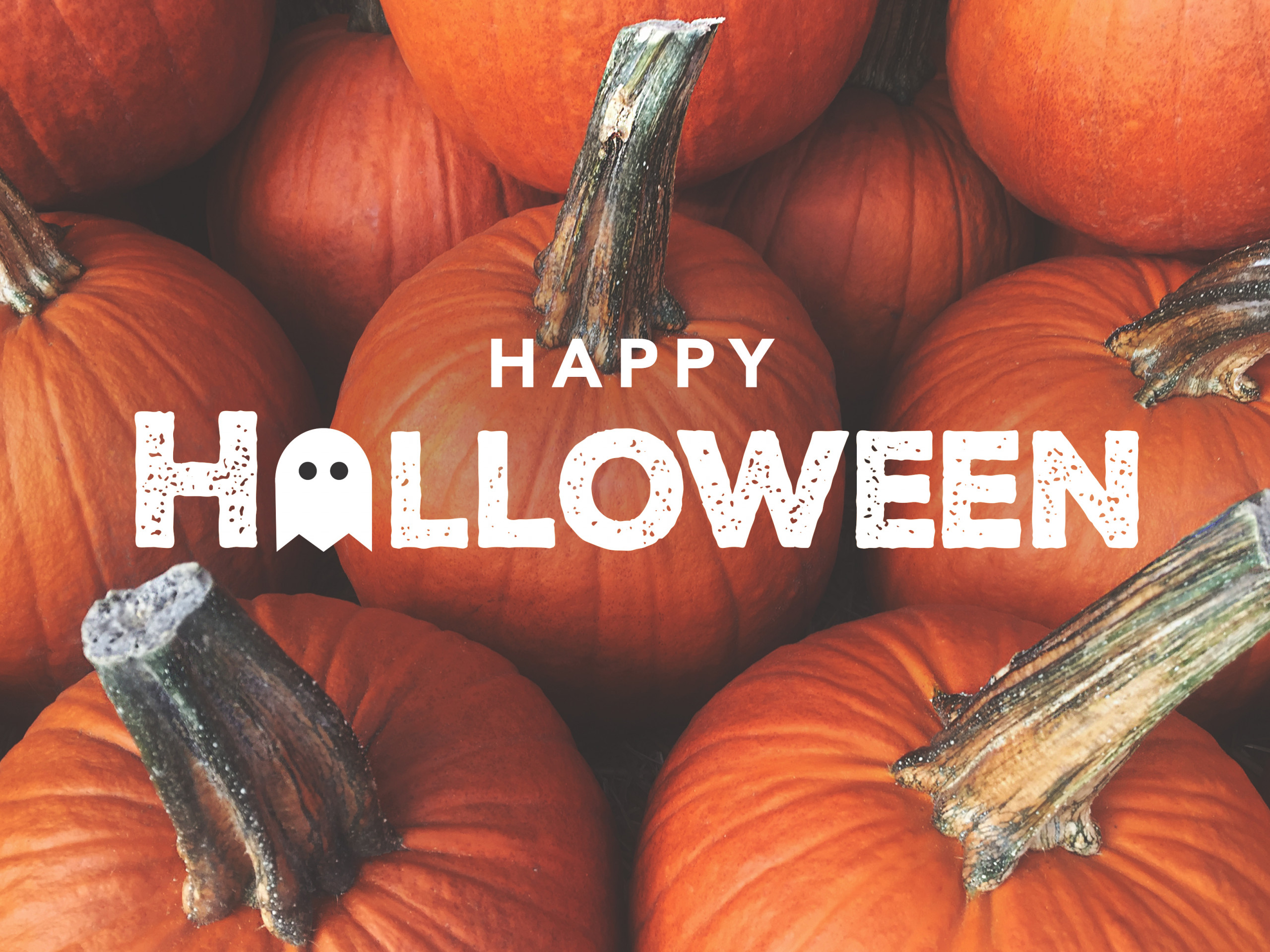 Halloween Ursprung – woher kommt der Brauch und der Name Halloween?  ErsteNachhilfe